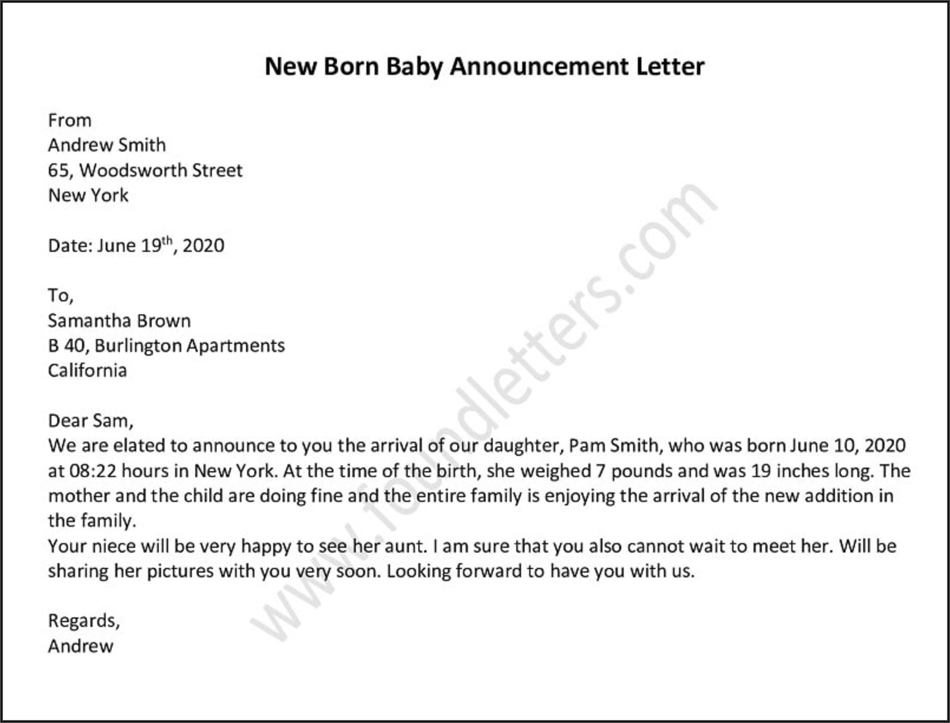 Baby Arrival Employee New Baby Announcement Email