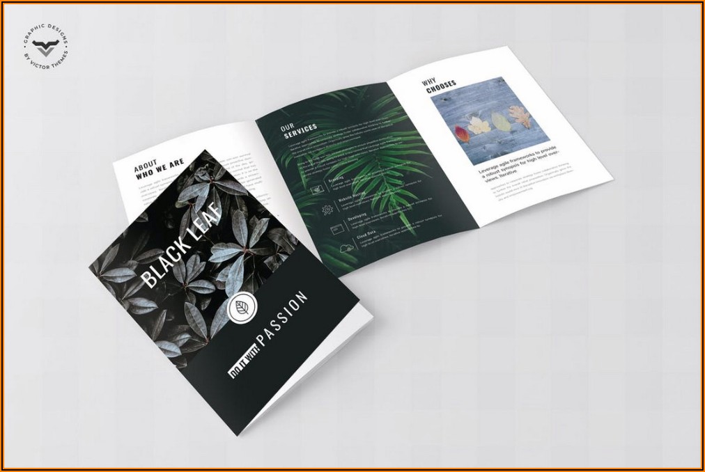 Best Tri Fold Brochure Design