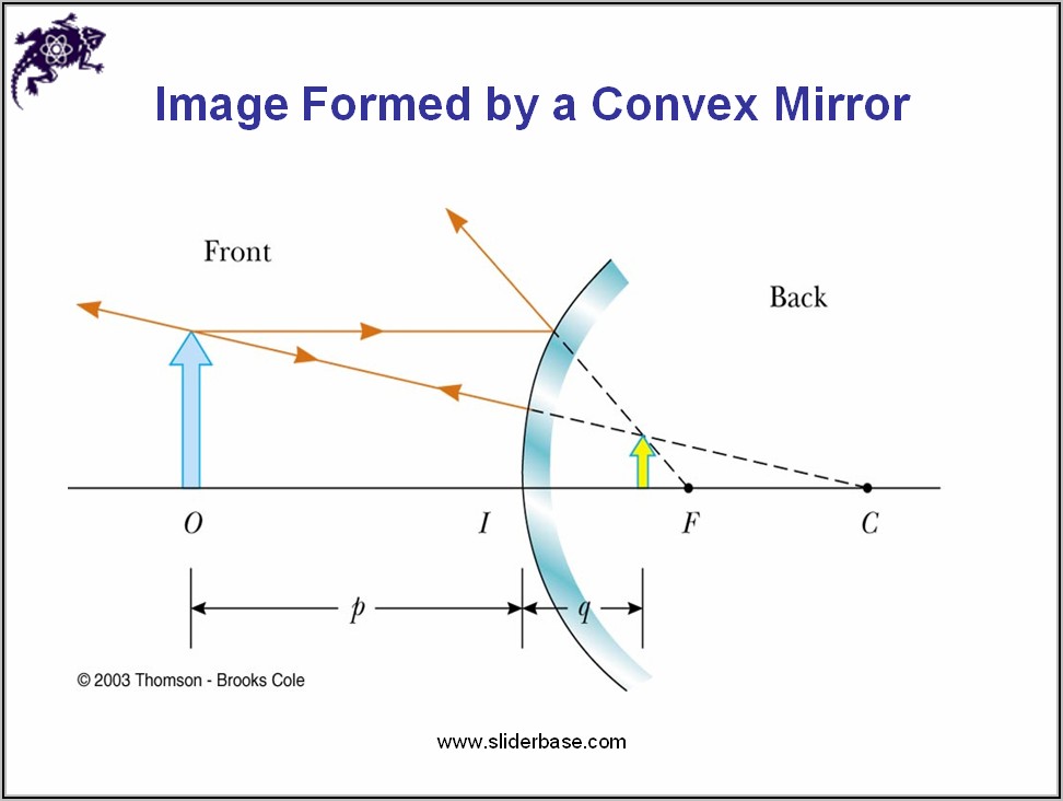 Convex Mirror Ray Diagram Between C And F