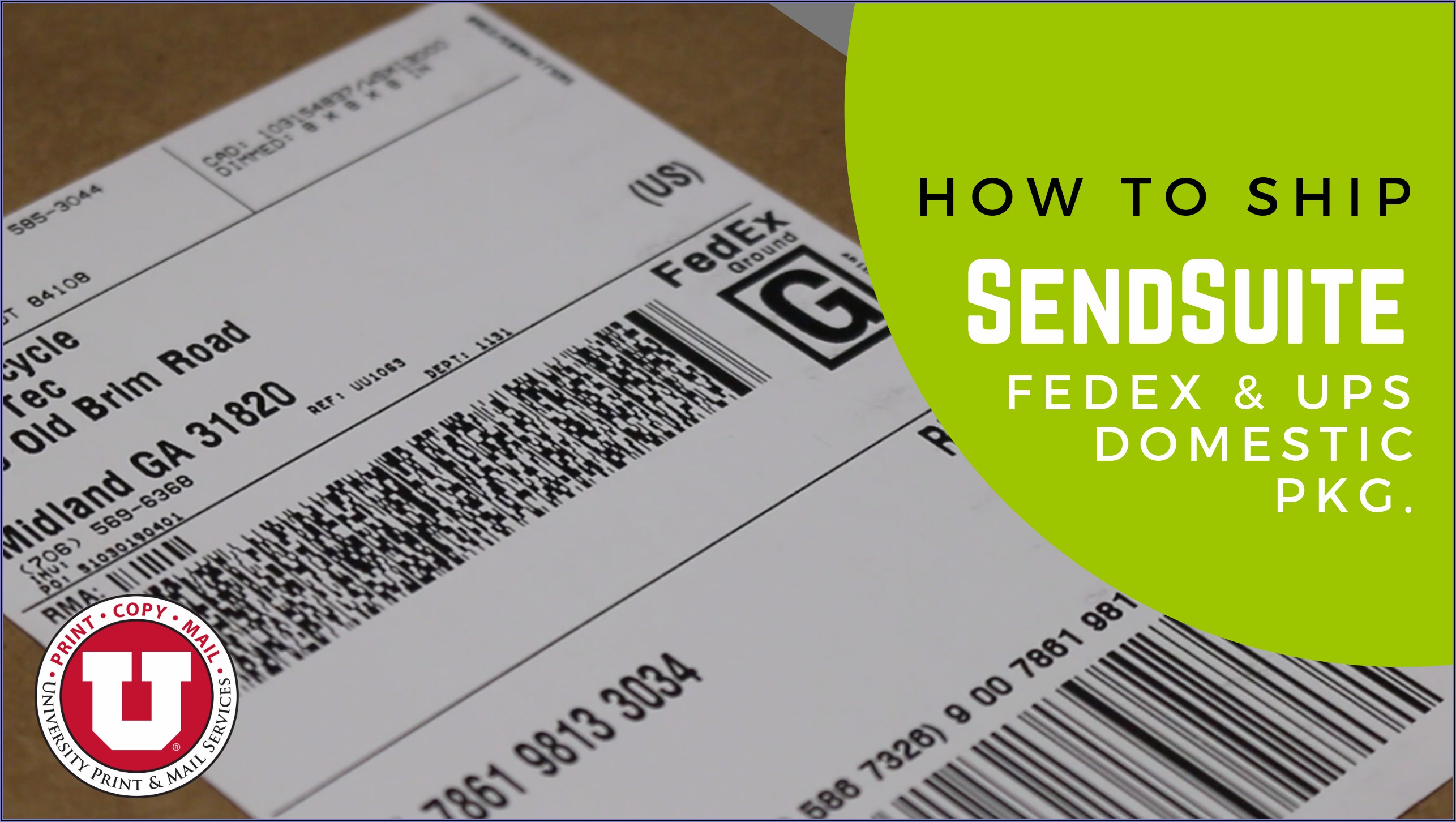 Fedex envelope sizes - artistsGros