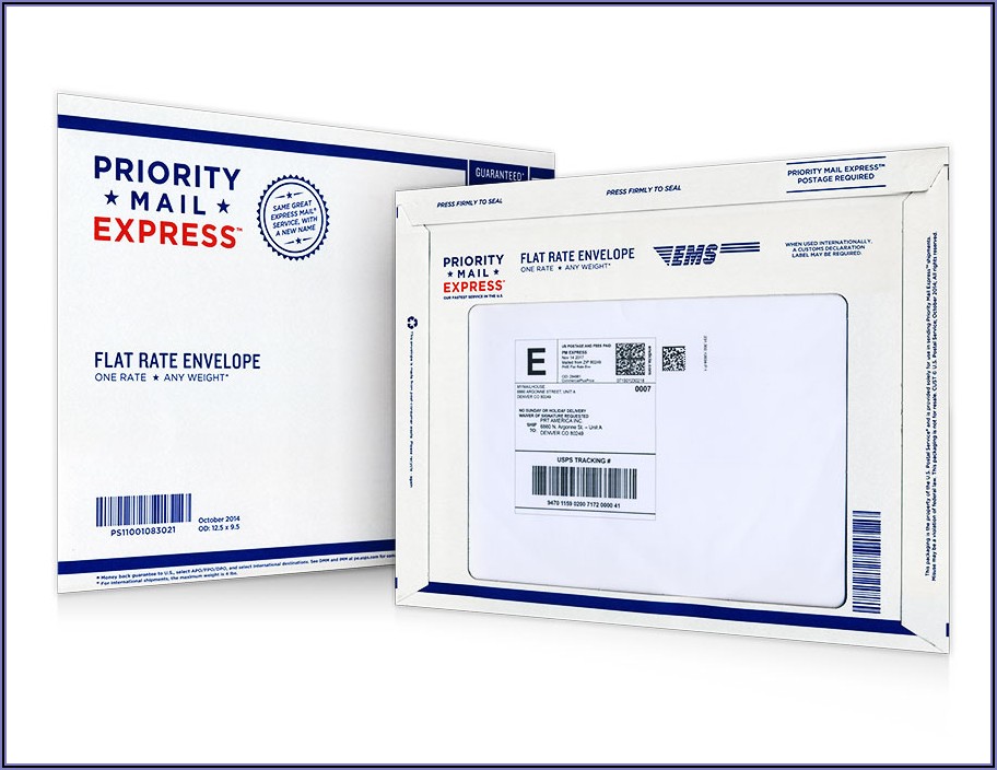 Priority Mail Postal Envelope