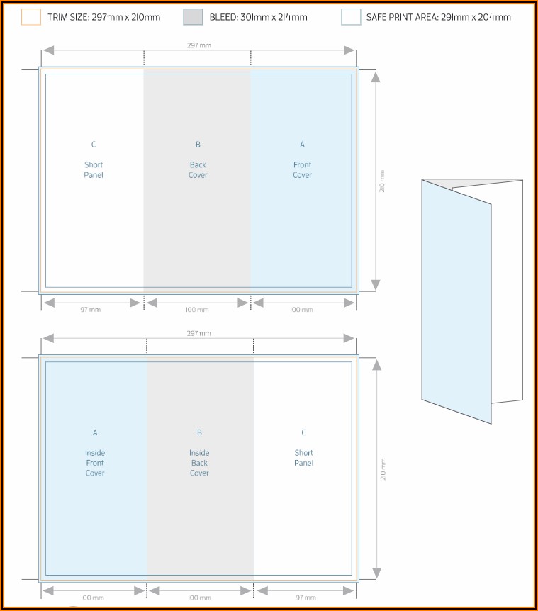 Quad Fold Brochure Dimensions