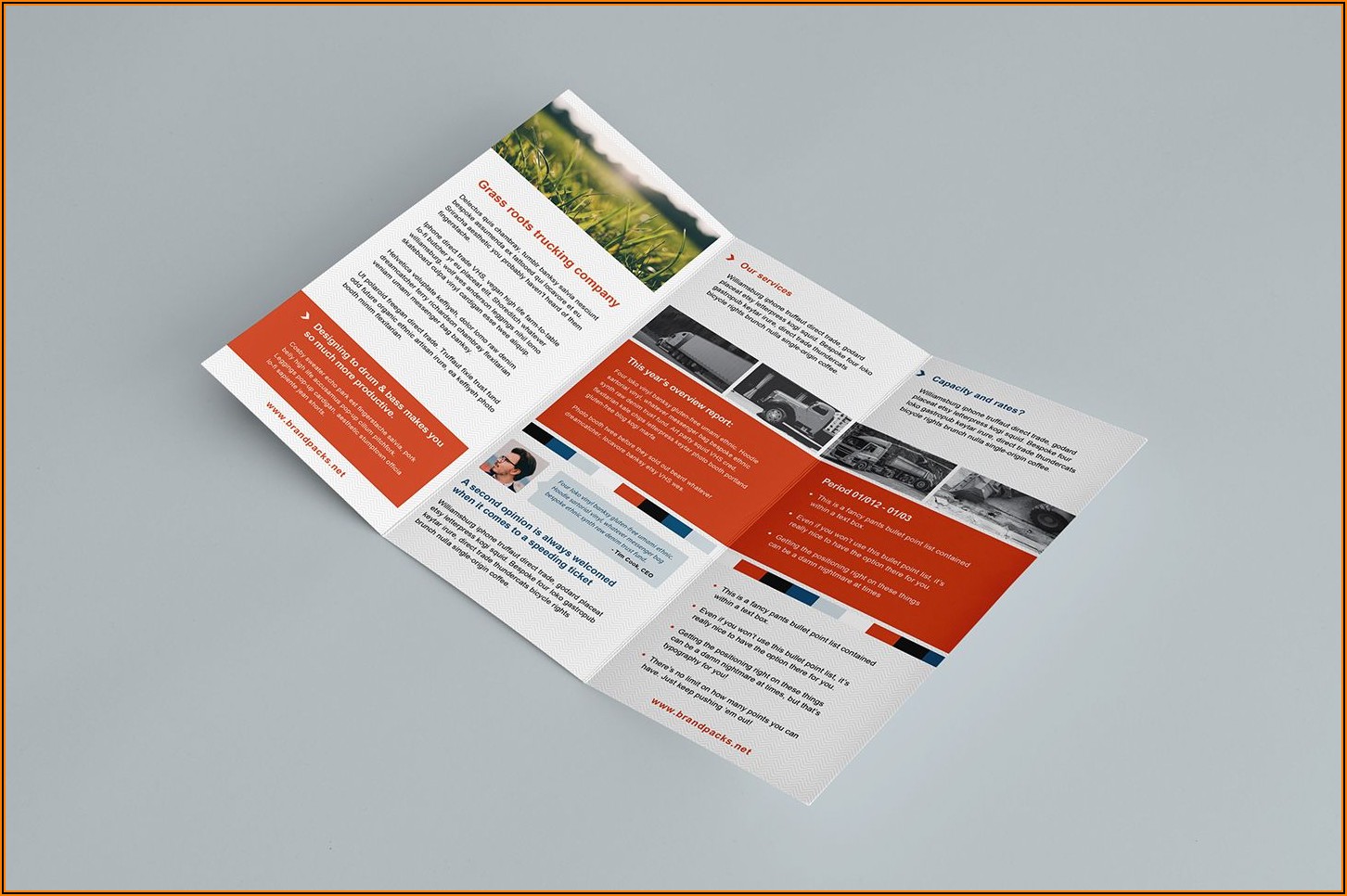 Tri Fold Brochure Template Free Download Ai