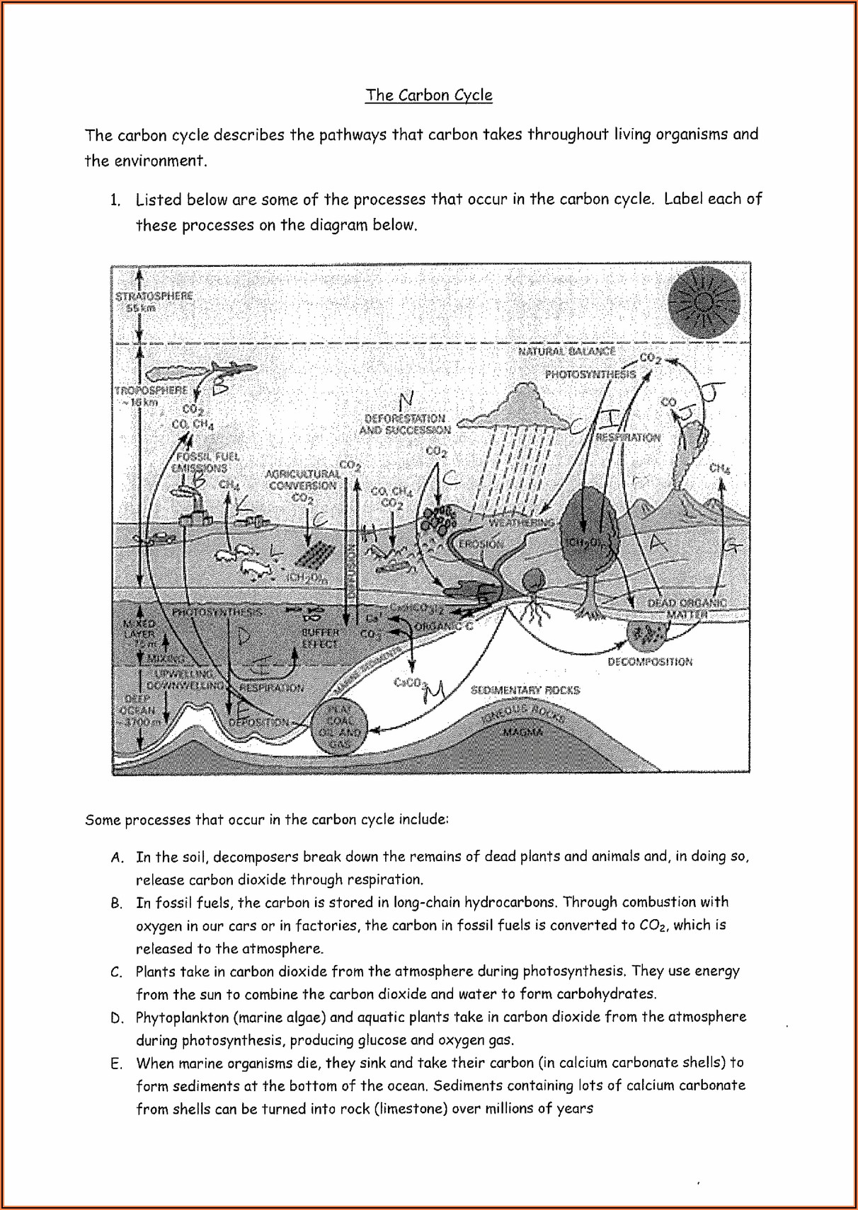 Carbon Cycle Questions Worksheet Answers