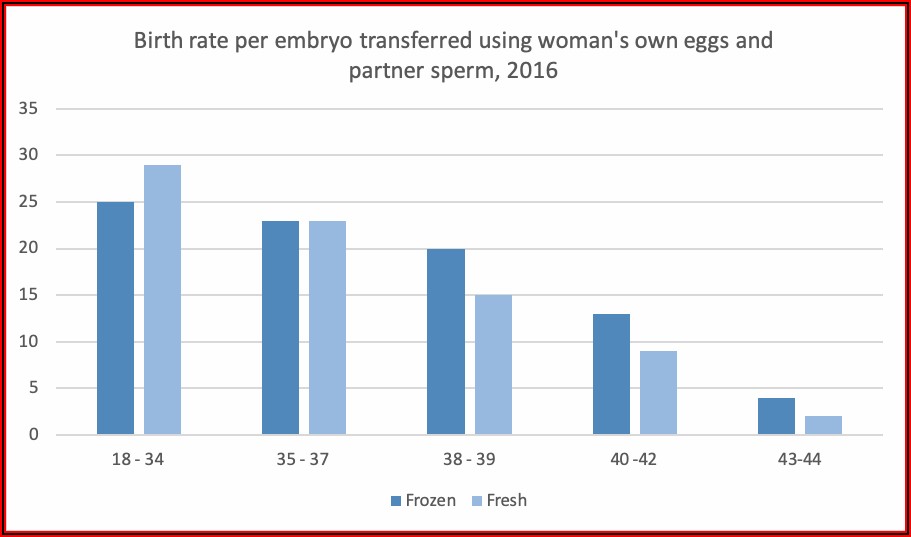Frozen Embryo Transfer Process Uk