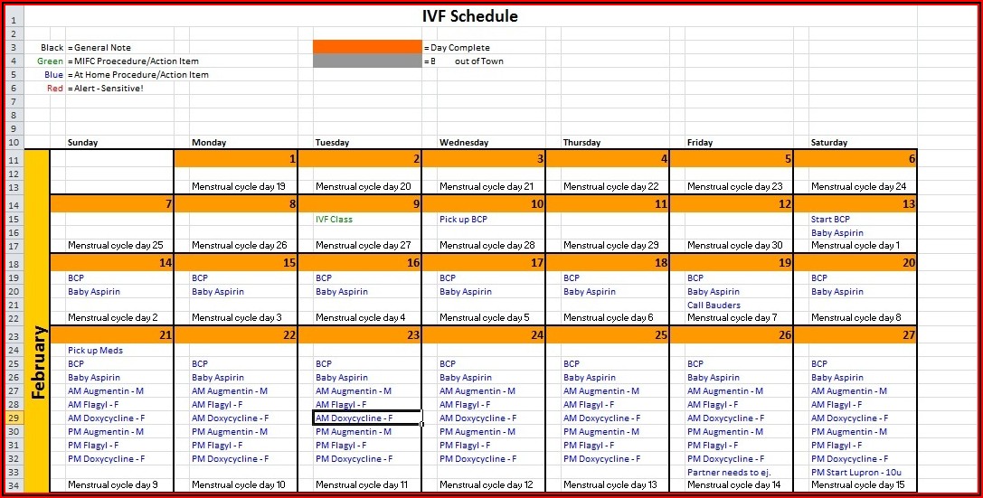 Ivf Frozen Embryo Transfer Calendar Due Date