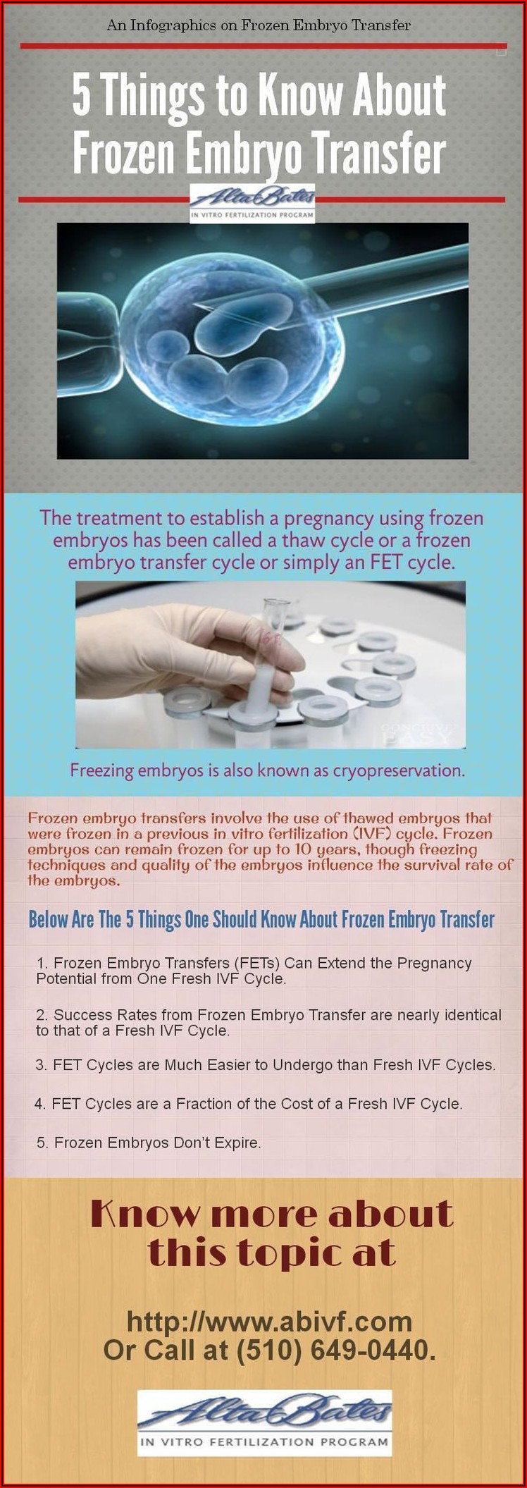Ivf Frozen Embryo Transfer Timeline