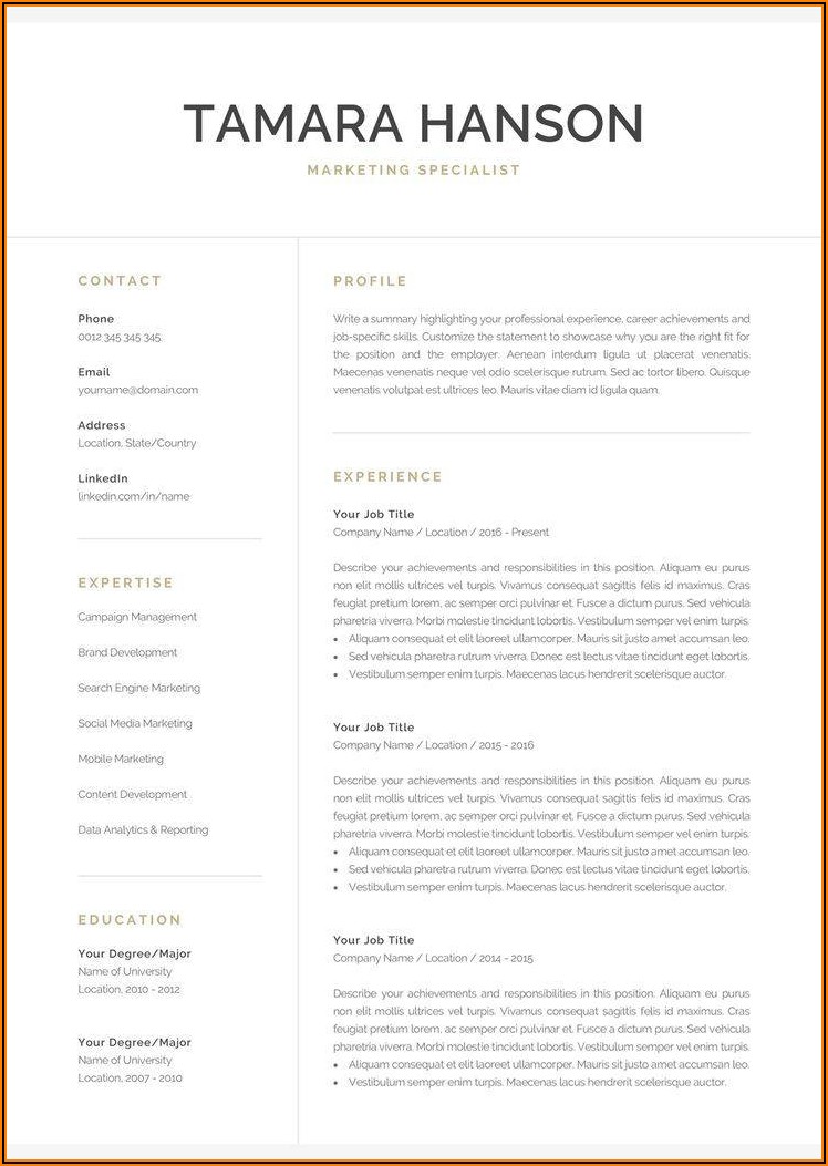 Professional Resume Template Apple Pages