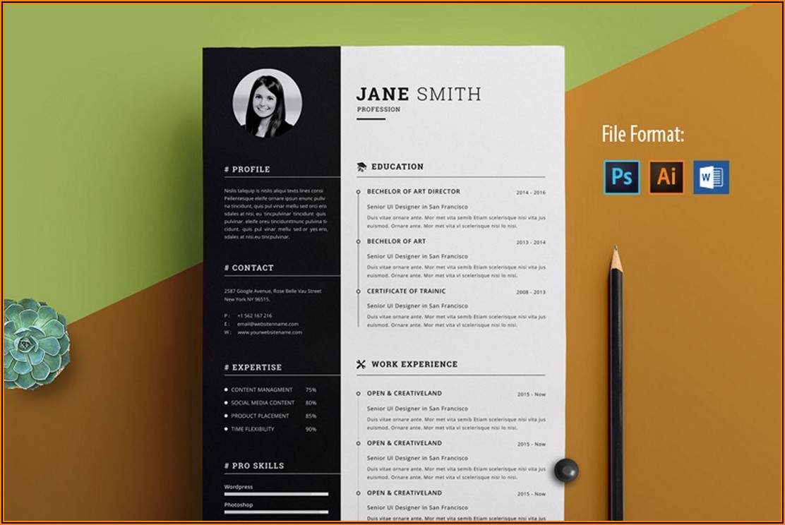 Resume Templates For Word Ipad