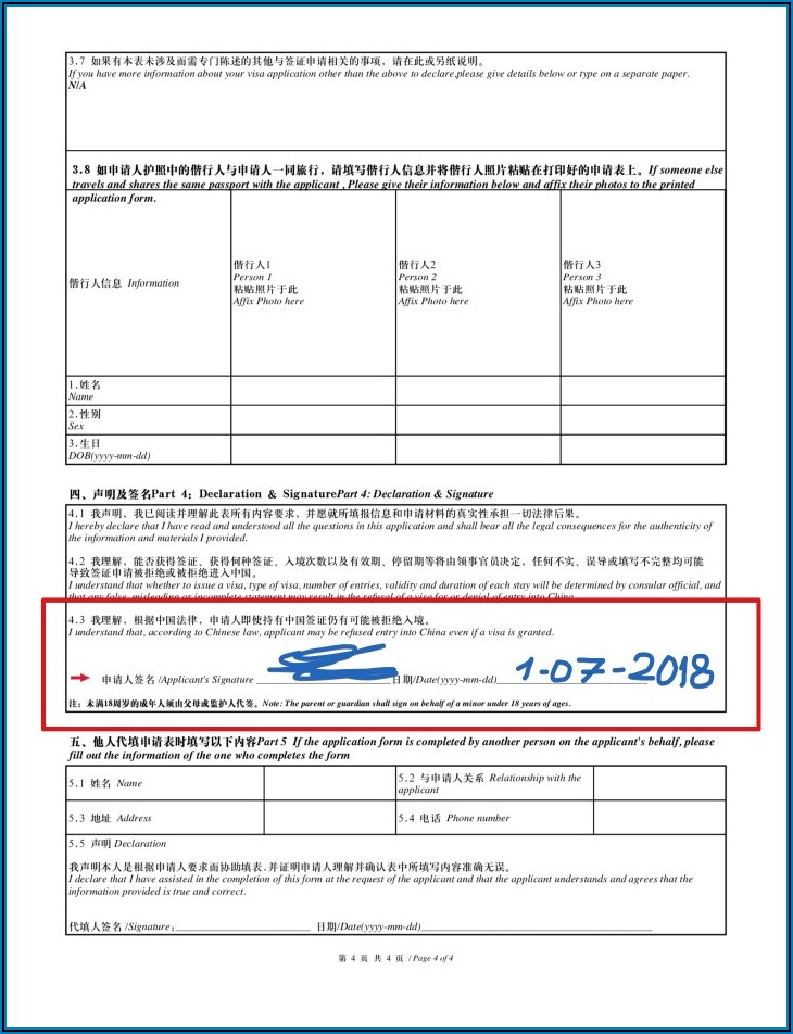 Chinese Visa Application Form South Africa
