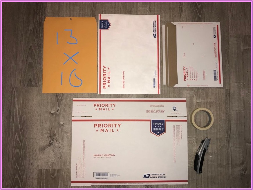 Priority Mail Tyvek Envelope
