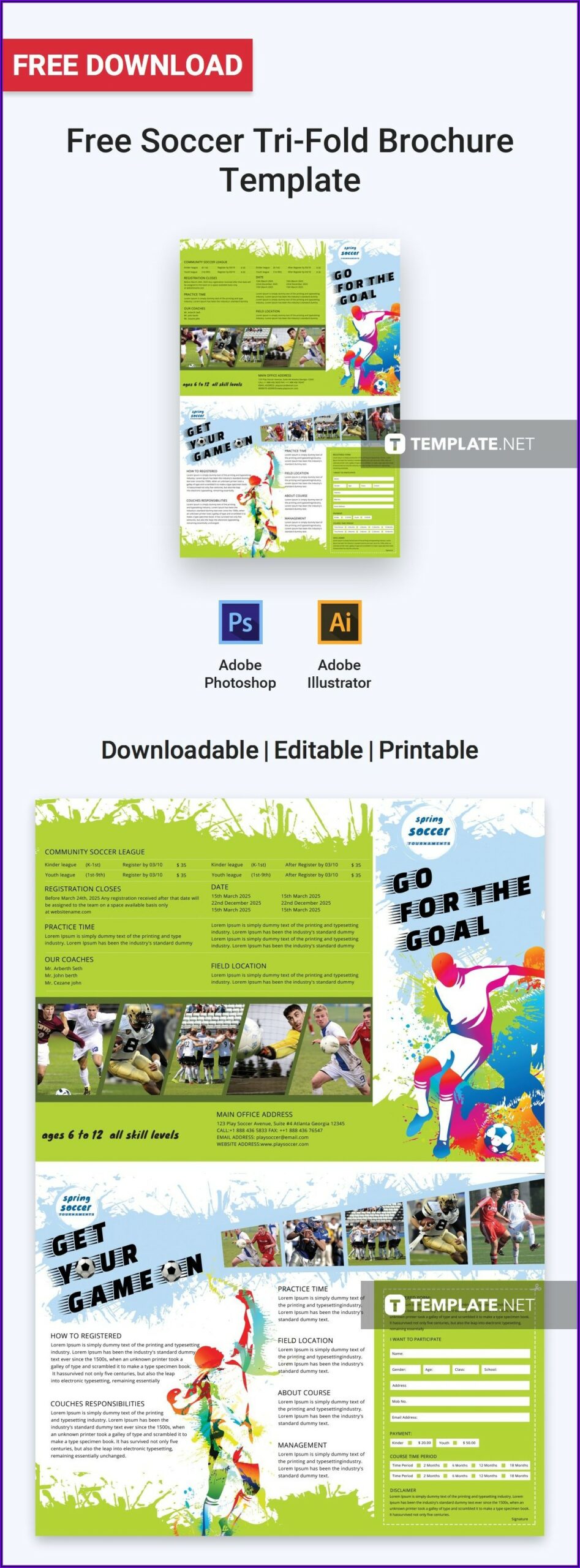 Tri Fold Brochure Template Microsoft Publisher Free
