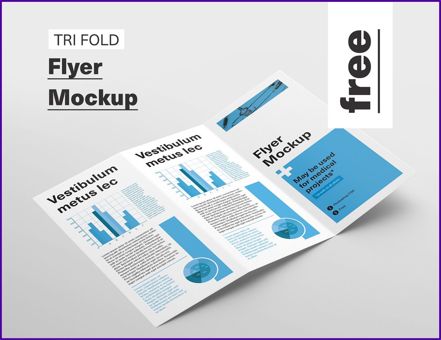 Tri Fold Flyer Mockup Free