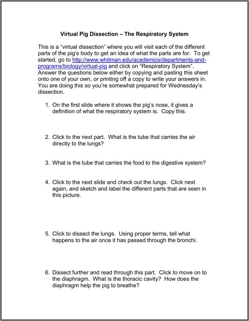 Virtual Fetal Pig Dissection Worksheet Answers