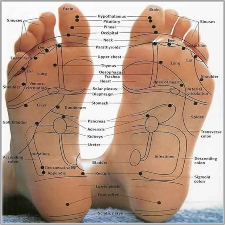 Bottom Of Foot Diagram