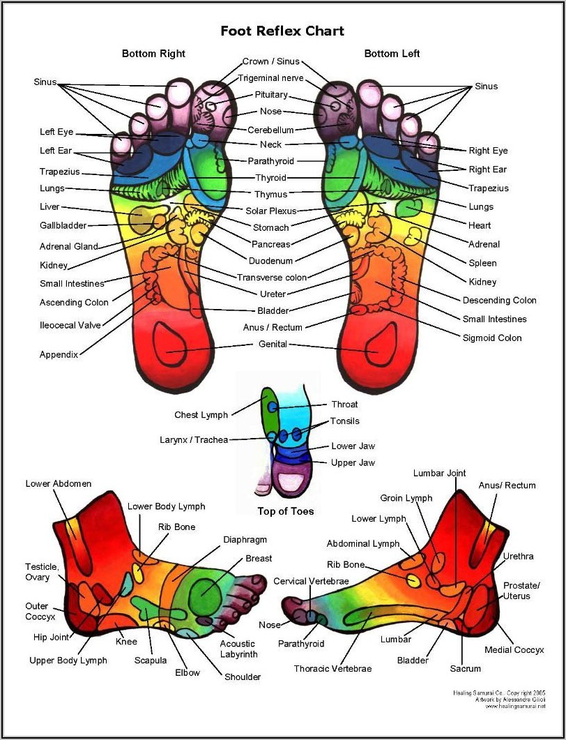 Bottom Of Left Foot Diagram