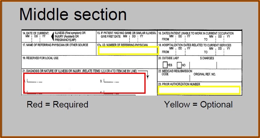 Hcfa 1500 Claim Form Example