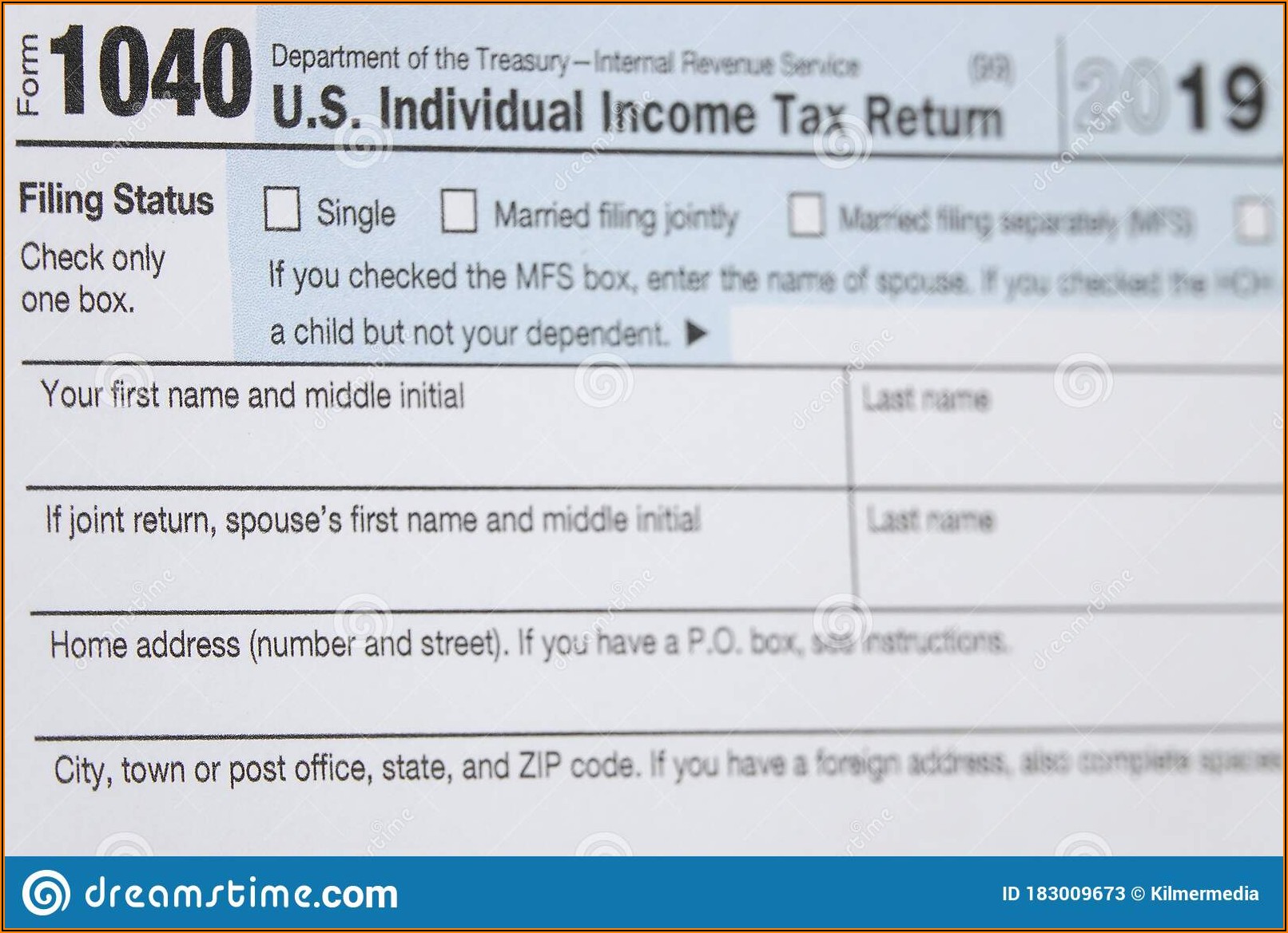 Income Tax Filing Form