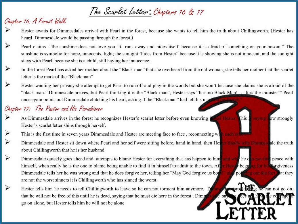 Scarlet Letter Chapter 13 16 Summary