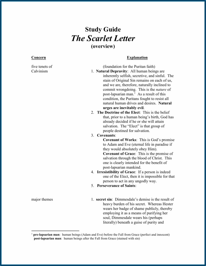 Scarlet Letter Chapter 13 Quizlet