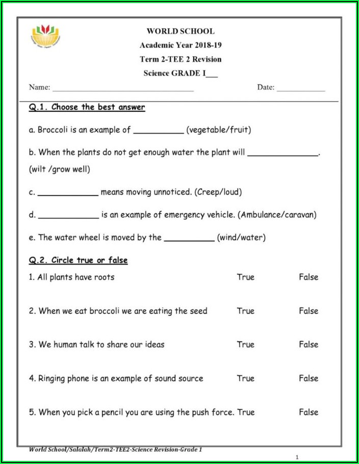 Second Grade Science Worksheets Pdf
