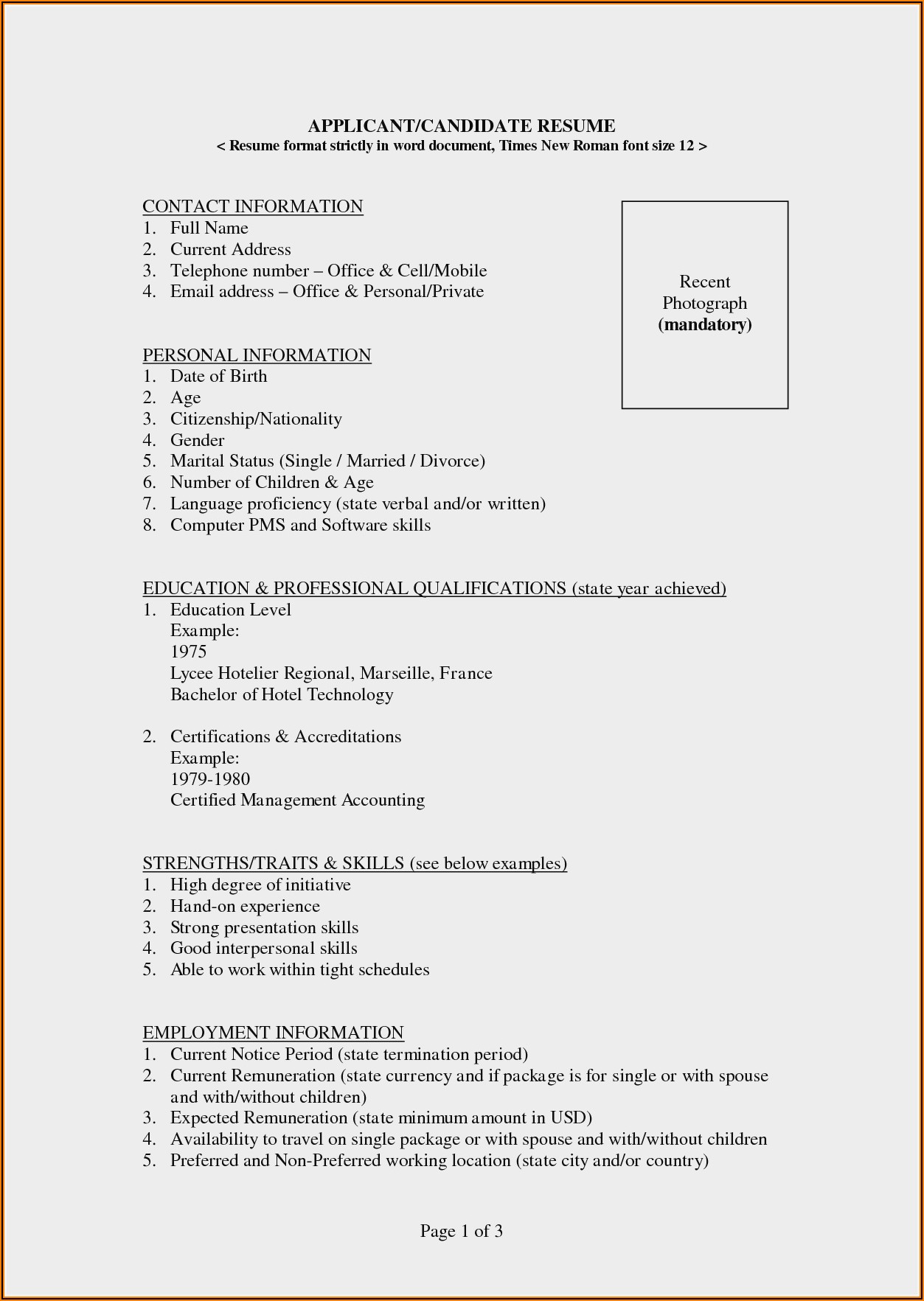 Template For Resume Word 2007