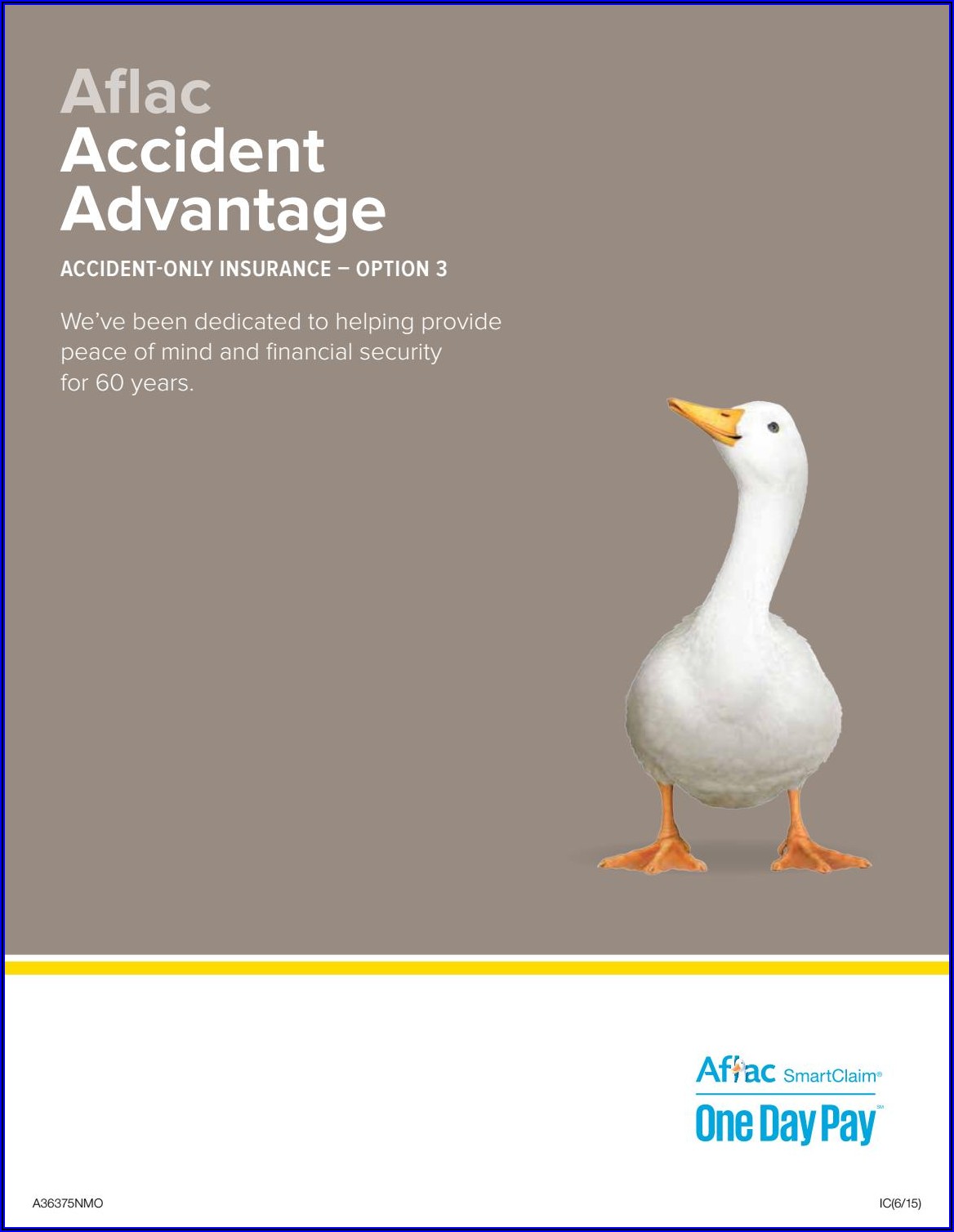 Aflac Accident Policy Brochure