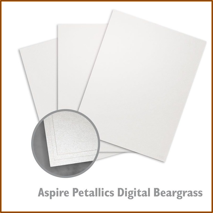Aspire Petallics Snow Willow Envelopes