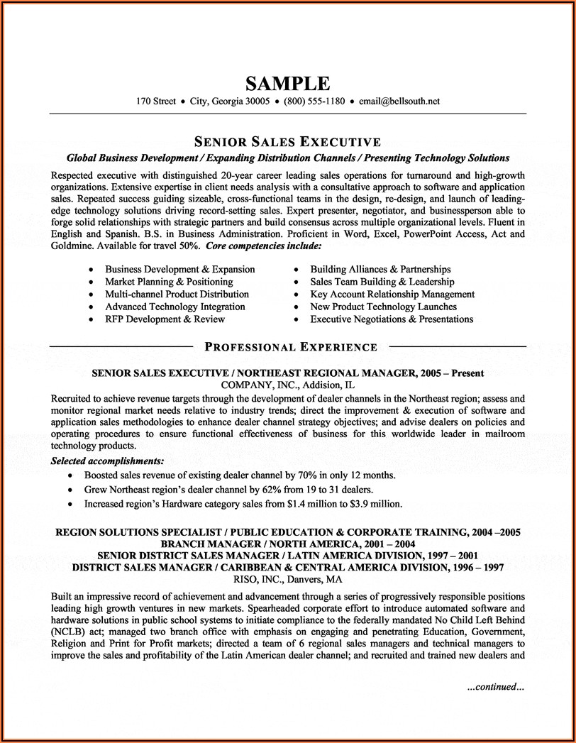 Sales Manager Resume Format In Word