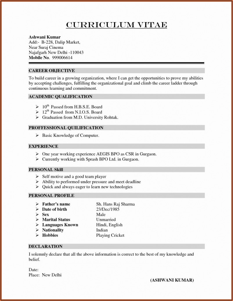 Bsc Resume Format Pdf Download Best Resume Examples Curriculum Vitae Format For Job In India Word File