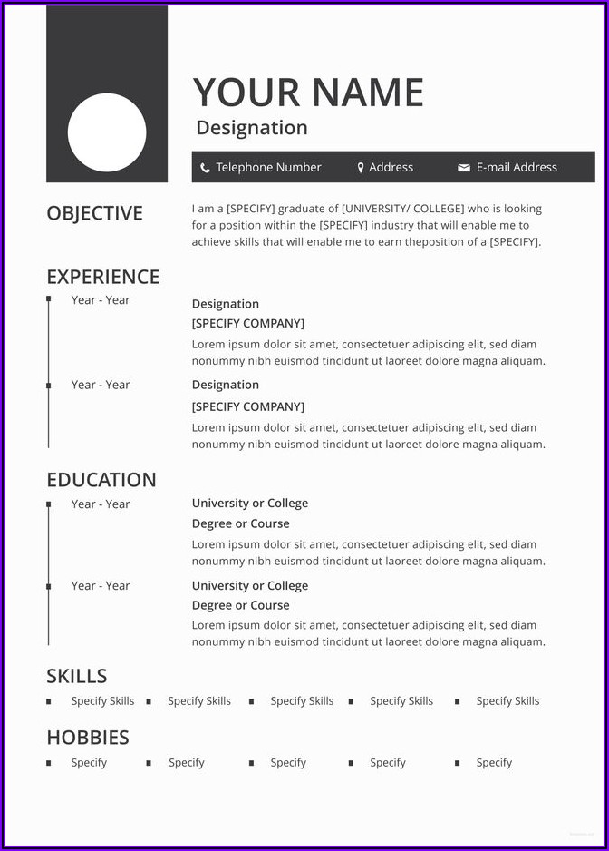 Word Doc Resume Template Free