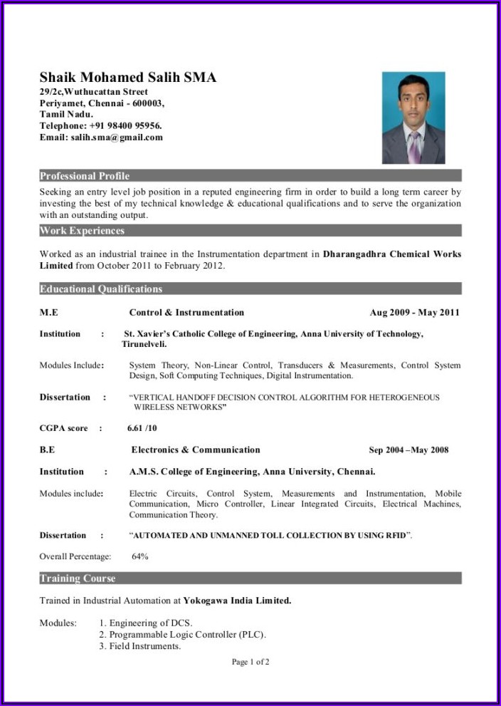 Word Document Fresher Resume Format Download In Ms Word