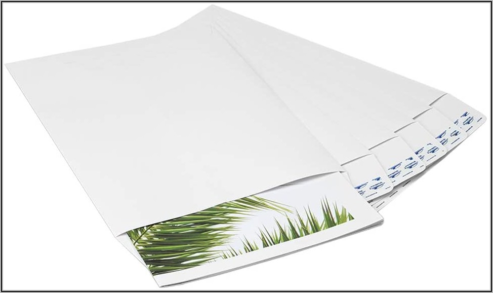 10x13 White Catalog Envelopes