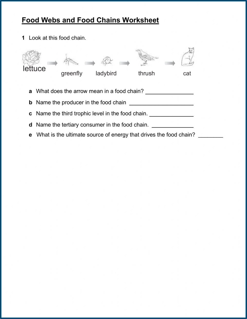 Food Chain Worksheet 1 A Answers