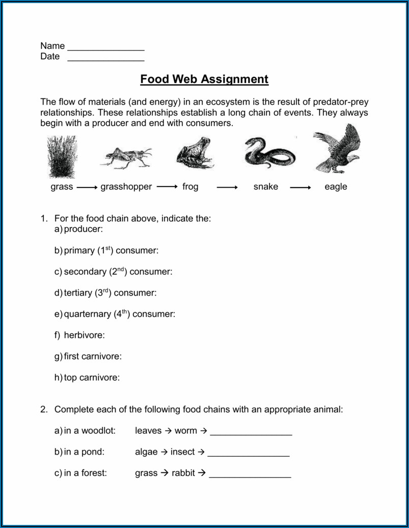 Food Chain Worksheet 1 A