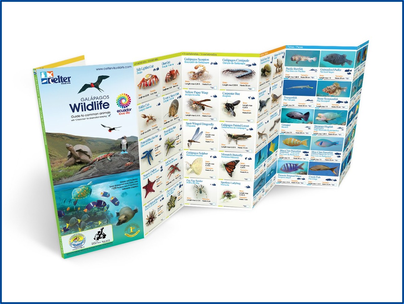 Galapagos Islands Travel Brochure