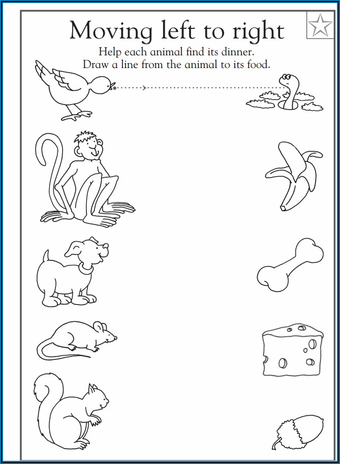 Animals And Their Food Worksheet For Kindergarten
