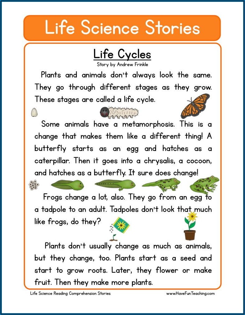 Butterfly Life Cycle Reading Comprehension Worksheets