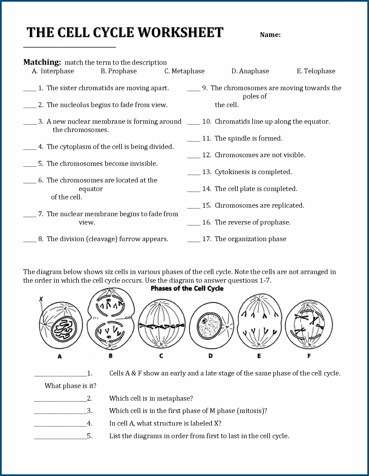 Eukaryotic Cell Cycle And Cancer Worksheet Answers