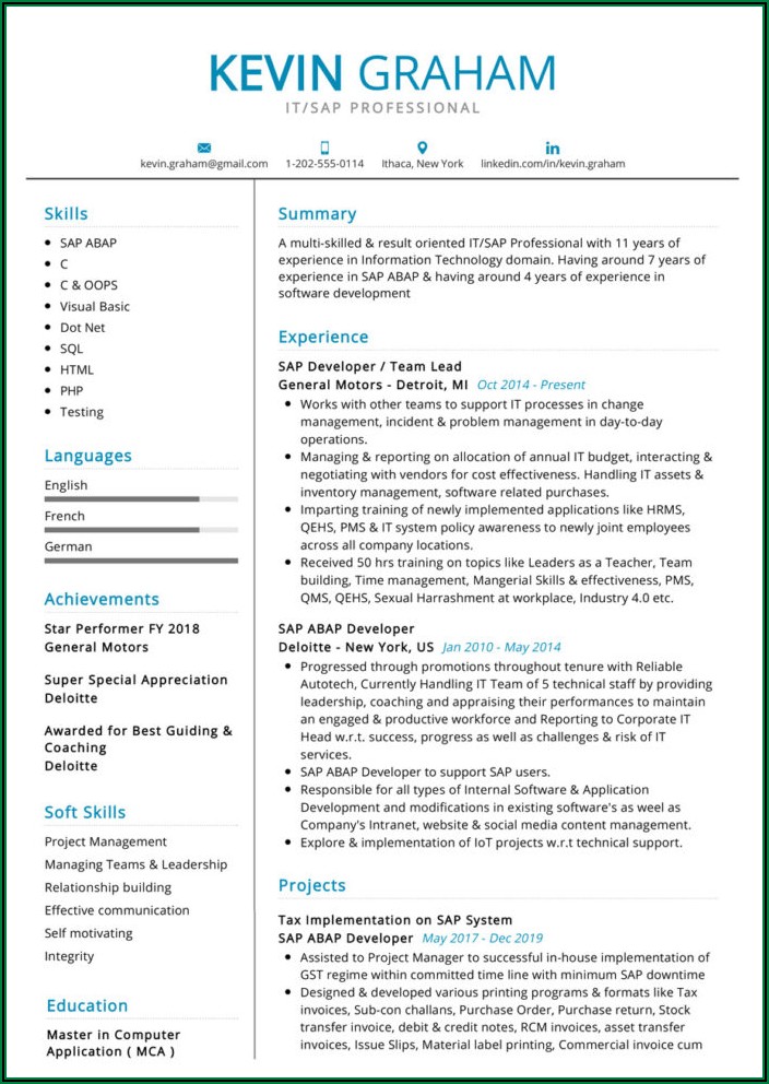 Examples Of Good Professional Resumes