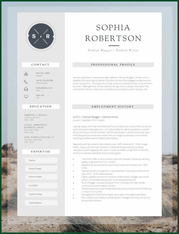 Examples Of Professional Resume Templates