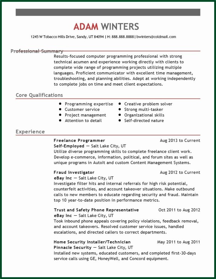 Examples Of Professional Summary For Resume