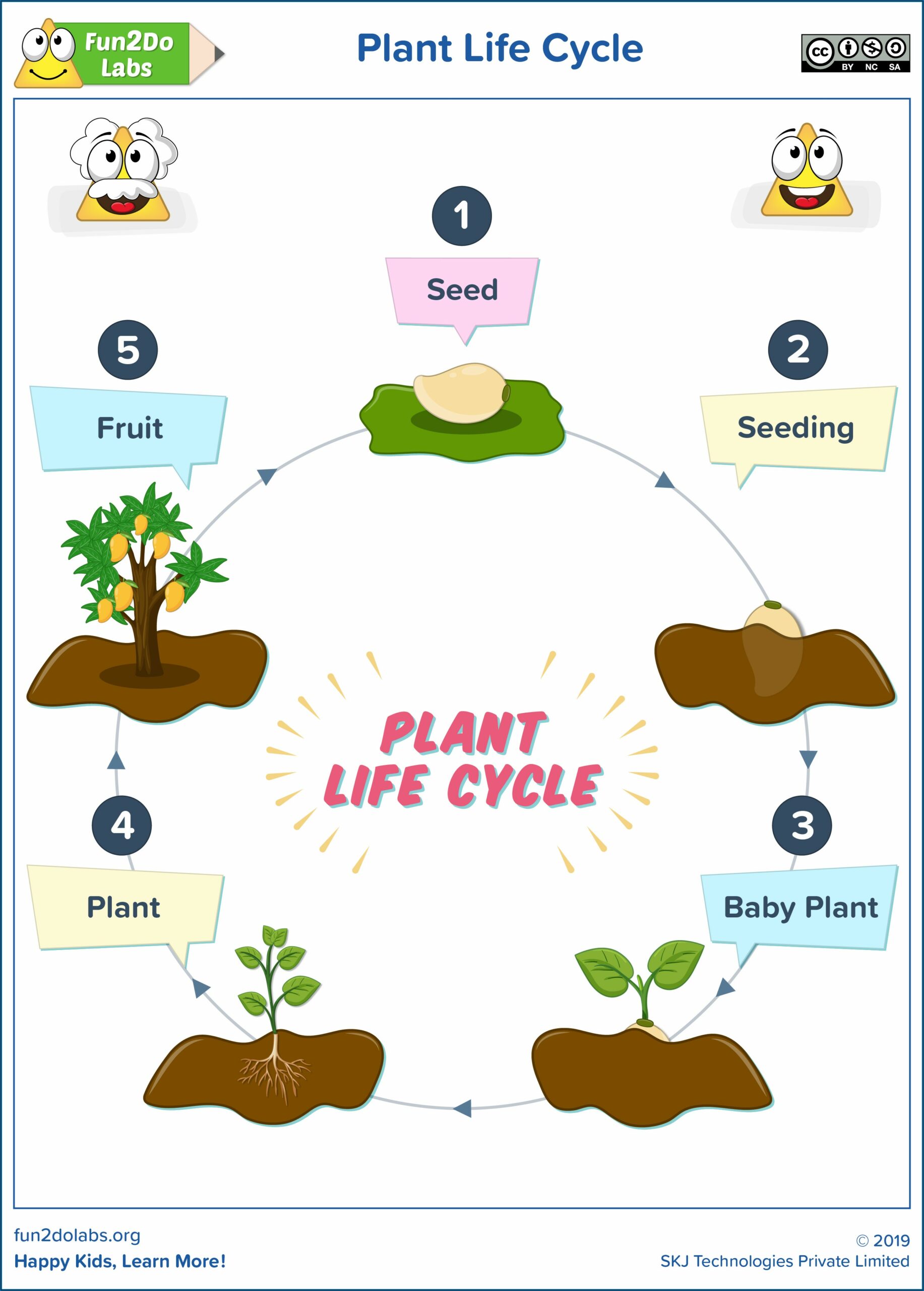 Plant Life Cycle Reading Comprehension Worksheet