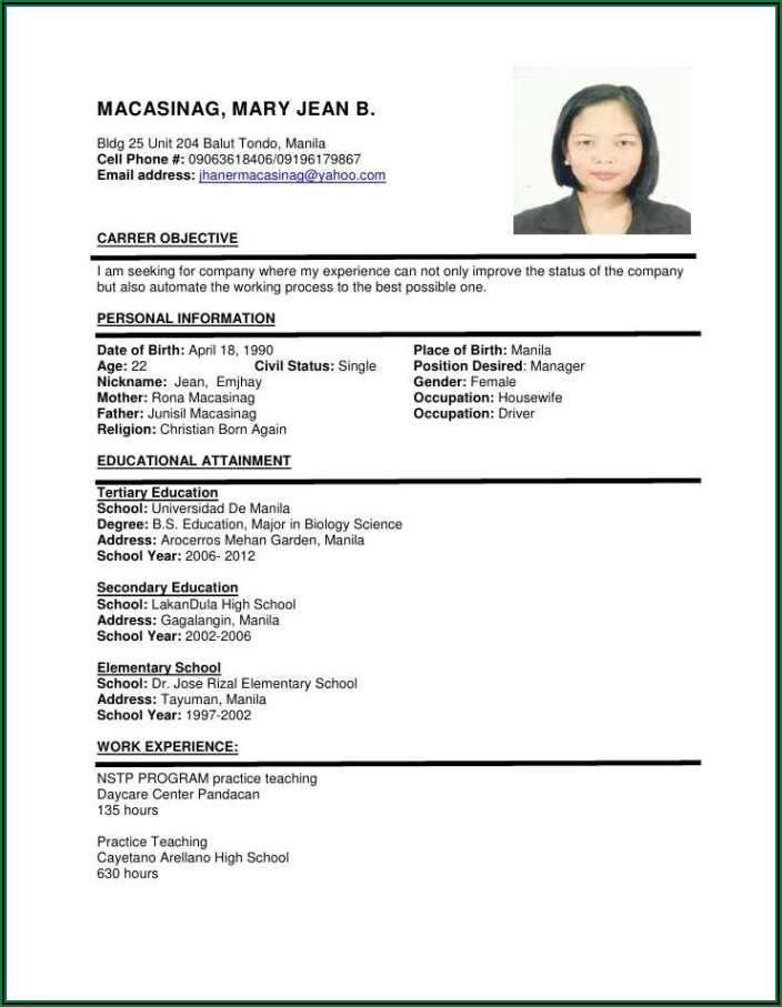 Sample Of Professional Resume Templates