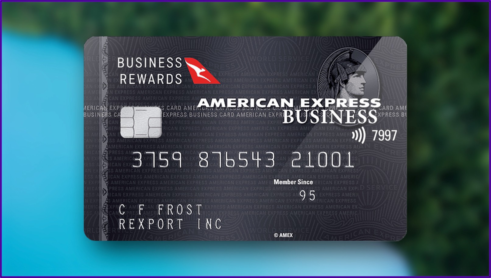 American Express Business Card Rewards