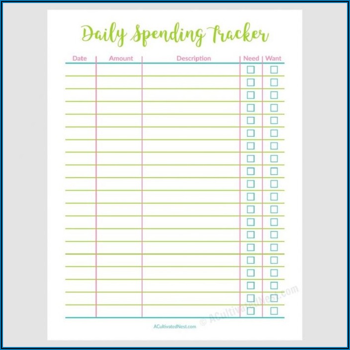 Daily Household Budget Template