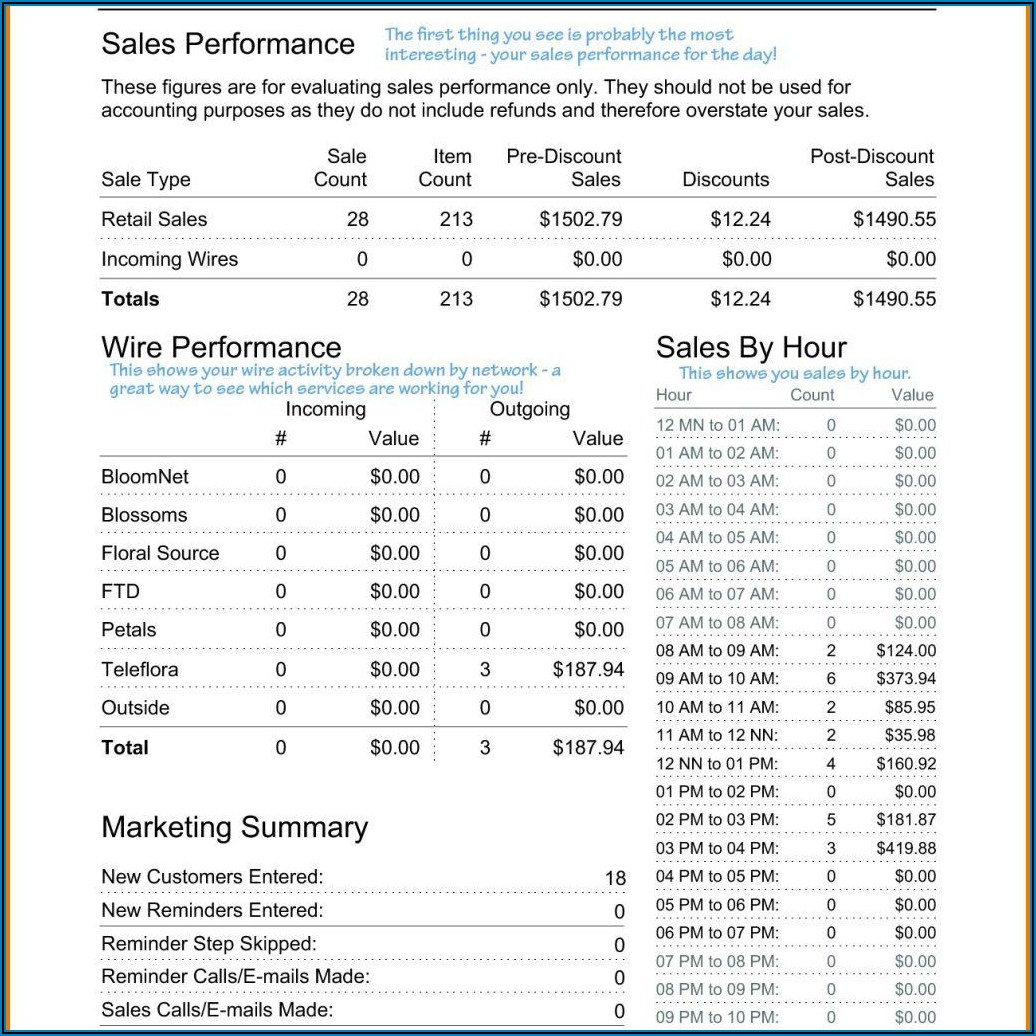 Daily Sales Activity Report Format Excel