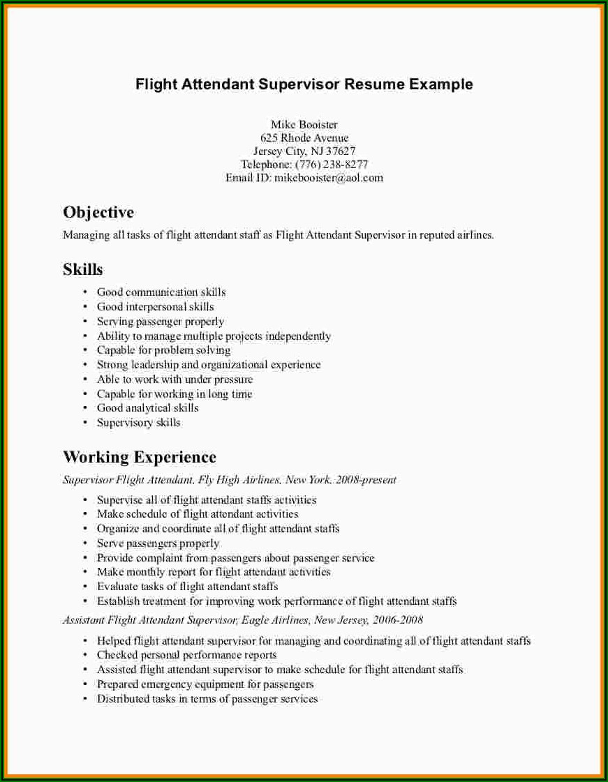 Objective For Resume For Driver Job
