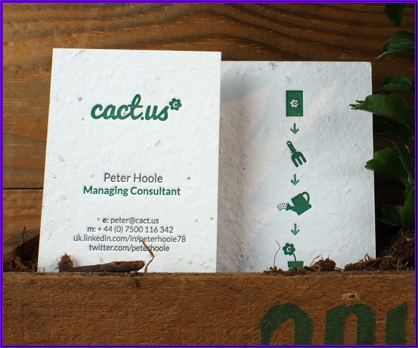 Plantable Seed Business Cards