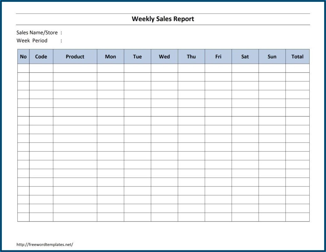 Weekly Activity Report Format